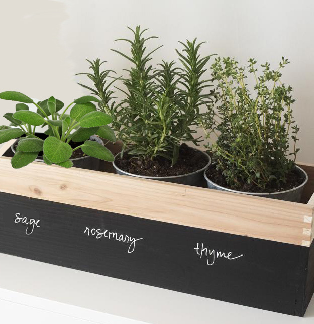 Herbs (Mixed culinary herbs) grown at Consolidated Nurseries